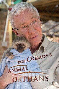 Paul O'Grady's Animal Orphans
