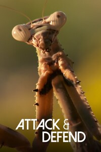 Attack and Defend