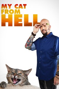 My Cat From Hell