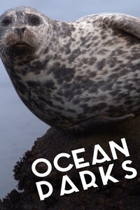 Ocean Parks