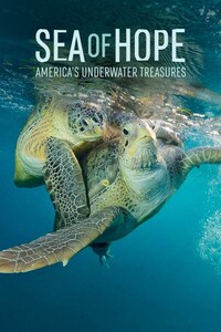 Sea Of Hope - America's Underwater Treasures