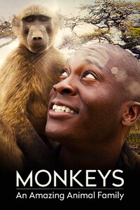 Monkeys: An Amazing Animal Family