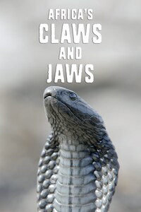 Africa's Claws & Jaws