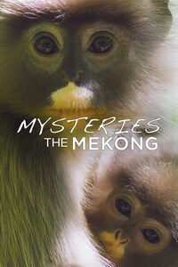 Mysteries of the Mekong