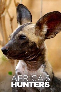 Africa's Hunters