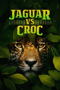 Jaguar vs. Croc