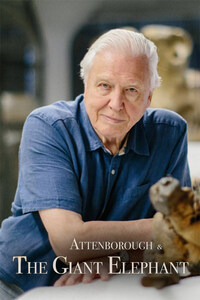 Attenborough and the Giant Elephant
