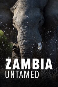 Zambia Untamed