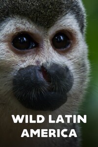 Wild Latin America