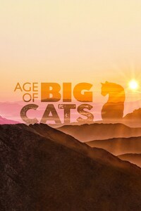 Age of Big Cats