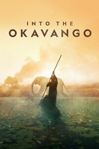 Into the Okavango