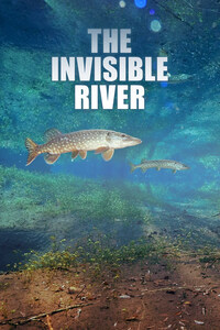 The Invisible River: Under Water Between the Black Forest and the Vosges