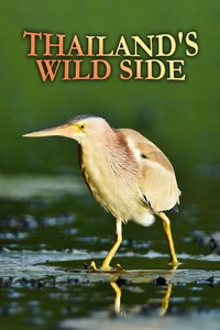 Thailand's Wild Side
