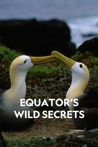 Equator's Wild Secrets