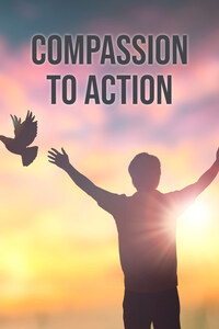 Compassion to Action