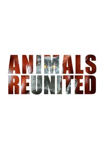 Animals Reunited