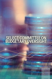 Select Committee on Budgetary Oversight