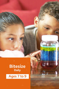 Bitesize Daily: 7-9 Year Olds