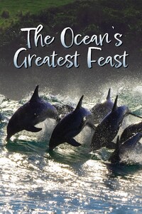 Ocean's Greatest Feast