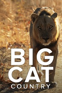 Big Cat Country