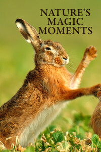 Nature's Magic Moments