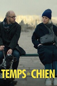 Temps de chien