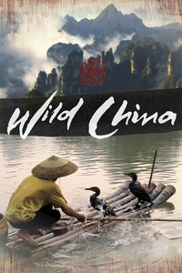 Wild China