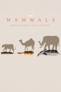 Mammals