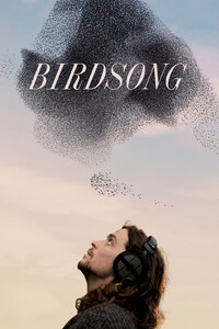 Birdsong