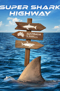 Super Shark Highway
