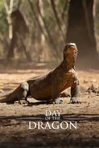Day of the Dragon
