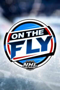NHL On The Fly