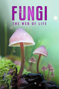 Fungi: The Web of Life