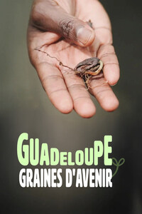 Guadeloupe : graines d'avenir