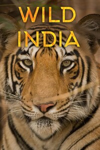 Wild India