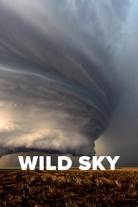 Wild Sky