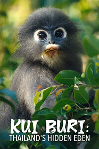 Kui Buri: Thailand's Hidden Eden