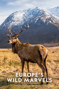 Europe's Wild Marvels