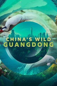 China's Wild Guangdong