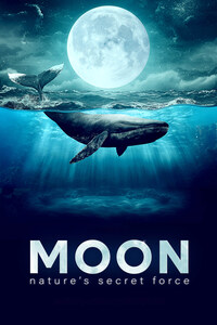 Moon: Nature's Secret Force