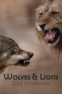 Wolves & Lions: Old Enemies
