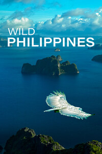 Wild Philippines