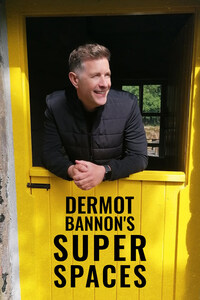 Dermot Bannon's Celebrity Super Spaces