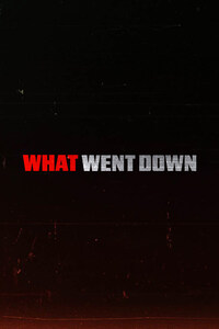 What Went Down