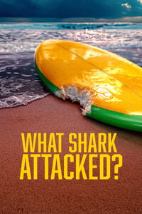 What Shark Attacked?