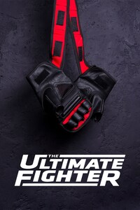 UFC The Ultimate Fighter