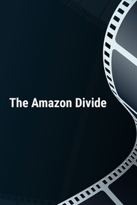 The Amazon Divide