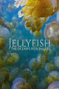 Jellyfish: The Ocean's New Rulers