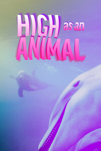 High as an Animal