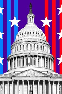 US Midterm Elections